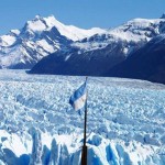 El calafate