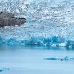 El calafate