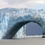 El calafate