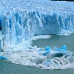 El calafate