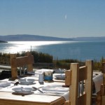 El calafate