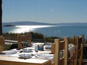 El calafate
