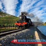 Train Patagonia