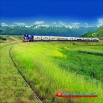 Train Patagonia
