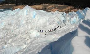 calafate