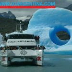 El calafate