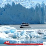 El calafate