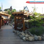 El calafate