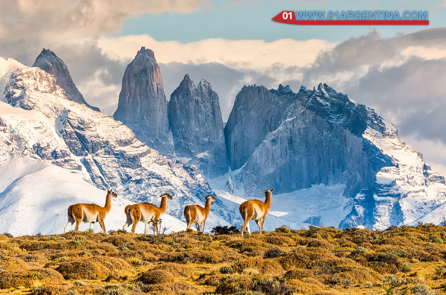 torresdelpaine_006