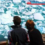tour in patagonia